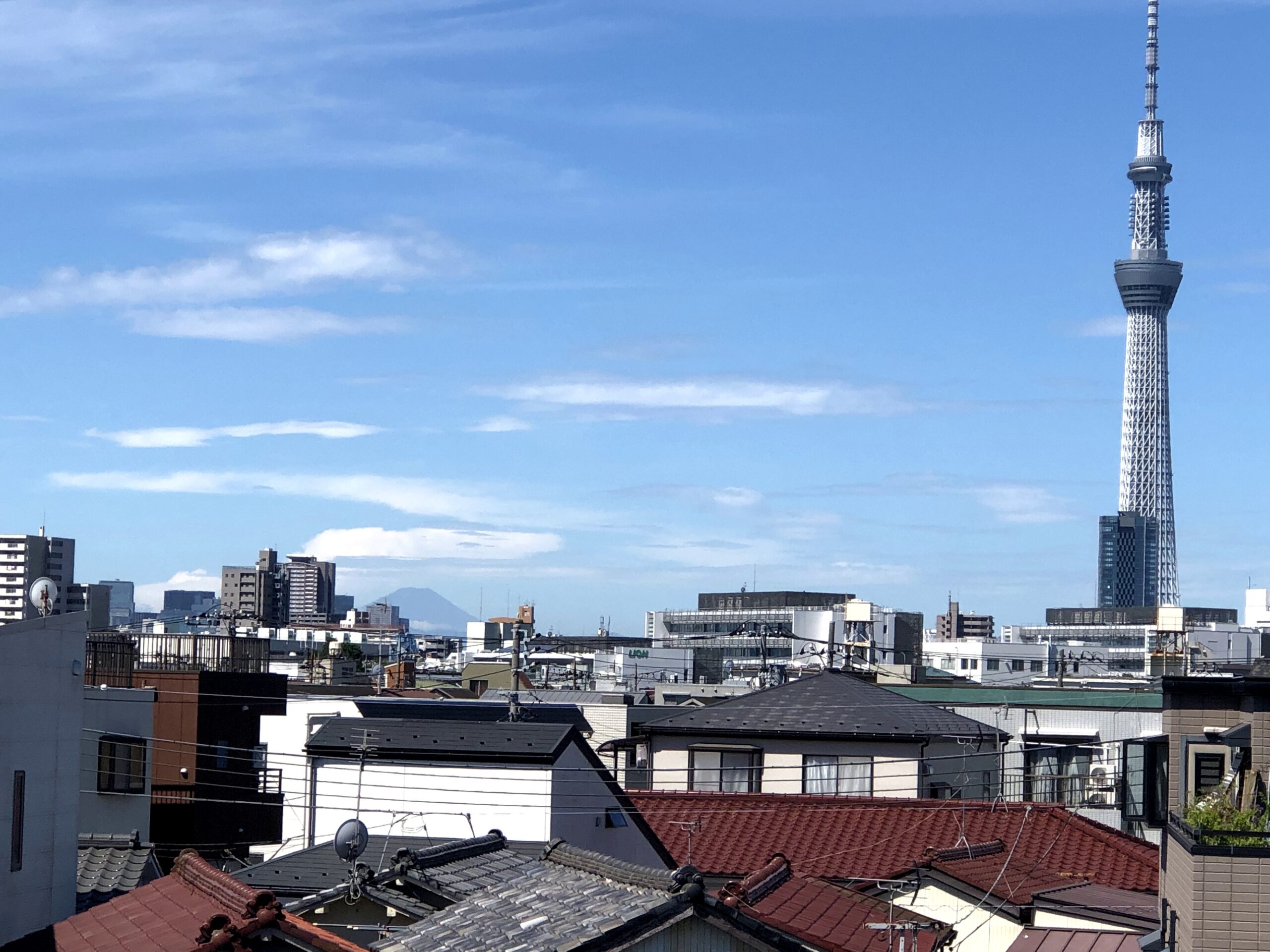 スカイツリーと富士山